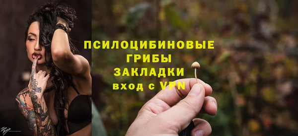 mix Новодвинск