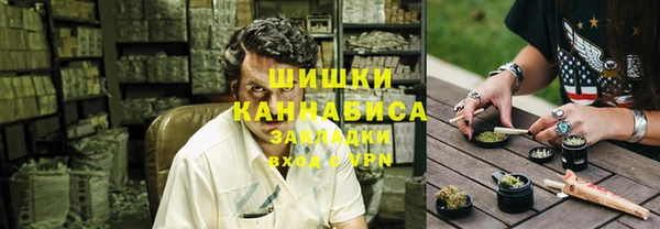 шишки Нея